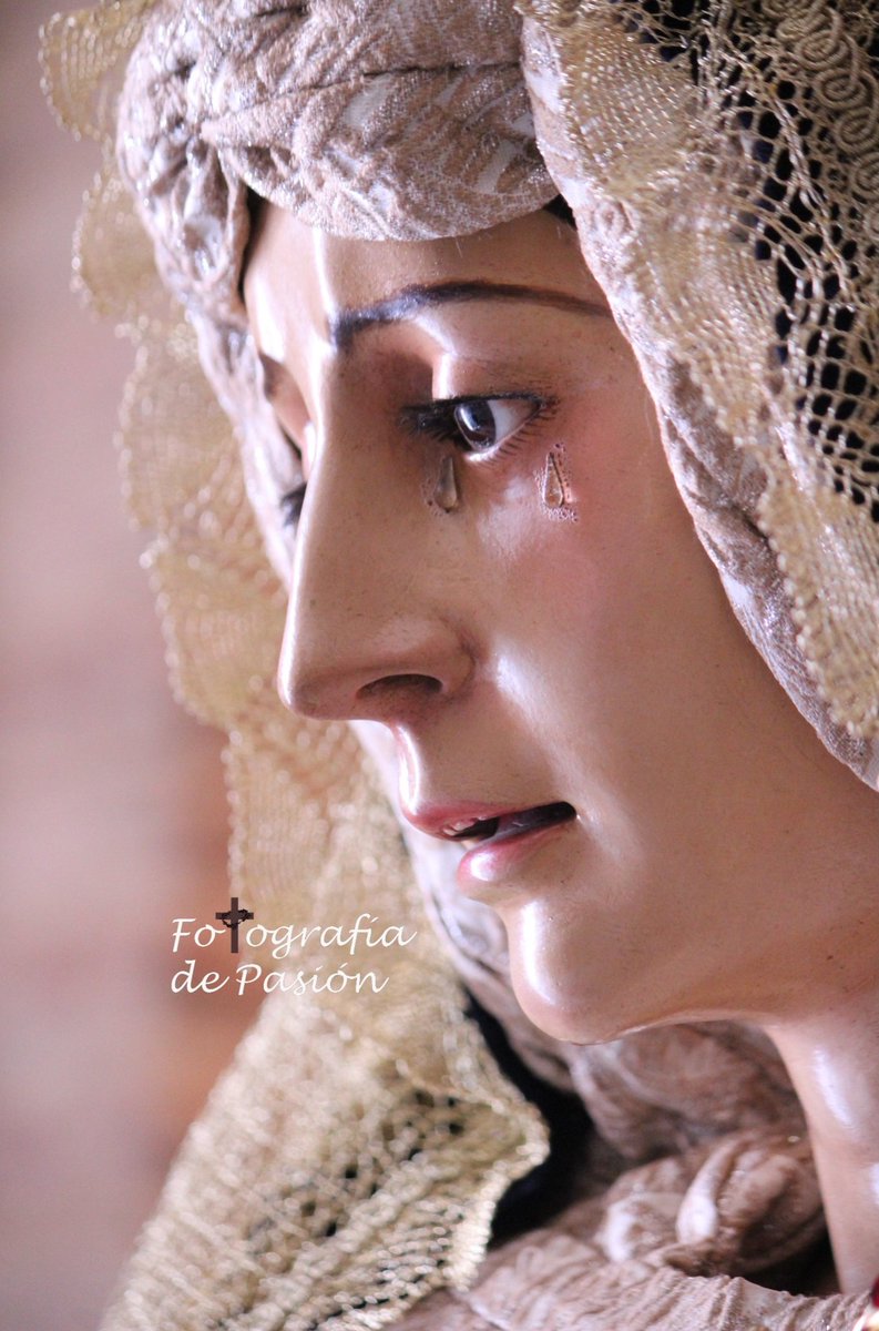 fotografiadepa1's tweet photo. María Santísima de la Soledad en el besamanos en su honor que tuvo lugar el 31-3-2019
Hermandad de la Soledad, Ronda.
Reportaje completo en instagram. 
#ssronda
#soledadronda
@HSoledadRonda
https://t.co/3meloFgBss https://t.co/x93hISXQdh
