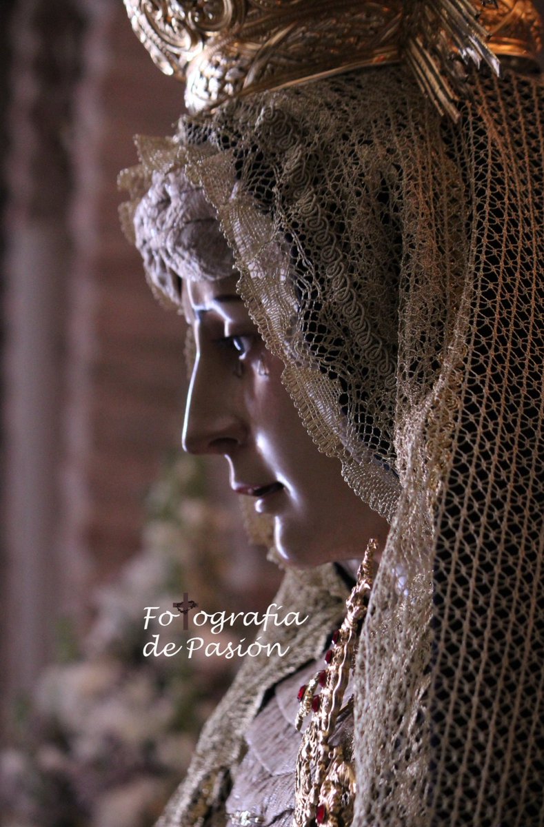 fotografiadepa1's tweet photo. María Santísima de la Soledad en el besamanos en su honor que tuvo lugar el 31-3-2019
Hermandad de la Soledad, Ronda.
Reportaje completo en instagram. 
#ssronda
#soledadronda
@HSoledadRonda
https://t.co/3meloFgBss https://t.co/x93hISXQdh