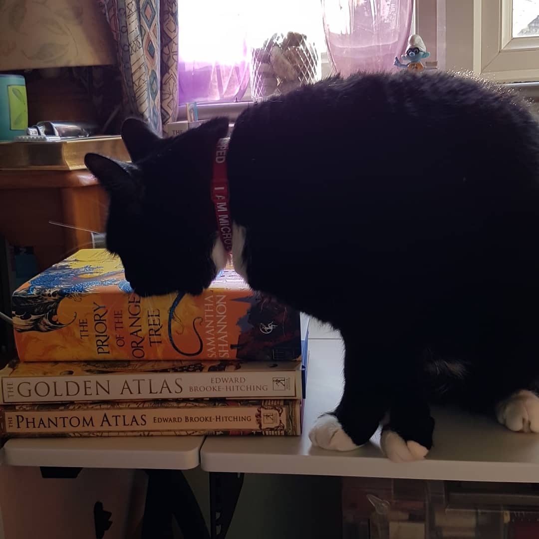 brownflopsy's tweet photo. Books for Mother's Day (blessed by cat)!
The Priory of the Orange Tree by Samantha Shannon & The Golden Atlas by Edward Brooke-Hitching (which matches my copy of The Phantom Atlas, that I got for Christmas). 😍
#Mothersday2019
#prioryoftheorangetree
#goldenatlas https://t.co/yHOko6i8rX