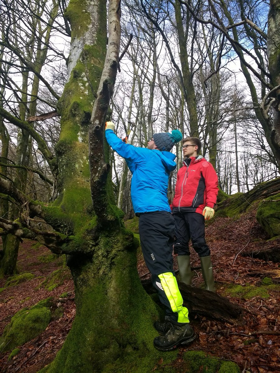 CallandersLand's tweet photo. If you're looking for something fun to do with the kids this school holiday then look no further 👀 Have some fun in the great outdoors and play a role in looking after #CallandersLandscape by coming along to our family volunteer day https://t.co/Drw8bKs33g https://t.co/eB3138PpI2