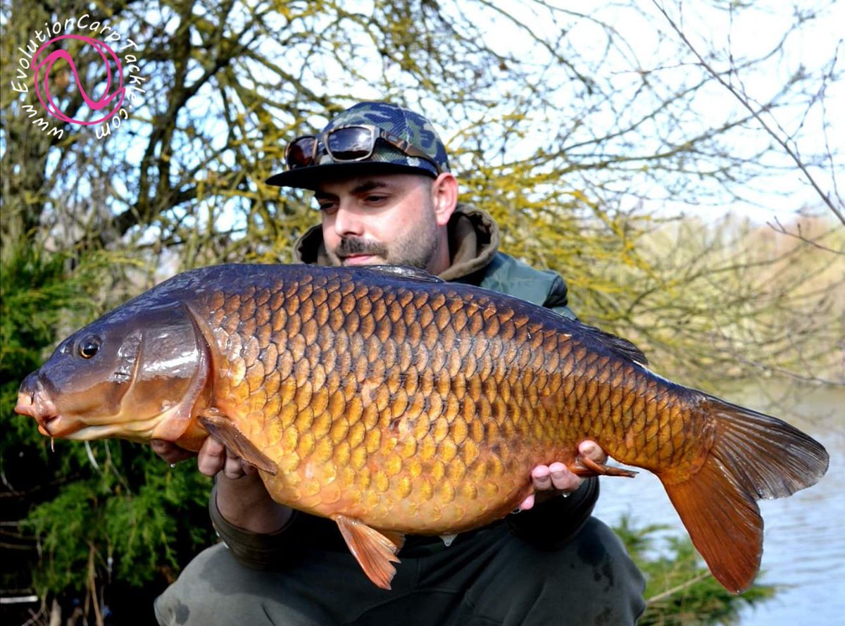 EvoCarpTackle's tweet photo. 21lb 5oz... With a nice chop on the lake, this beauty was caught using a pop up over bed of boilie... Netted, weighed and released in the NSR from Evolution Carp Tackle. 

https://t.co/pJQKNvDNOj #EvolutionCarpTackle #Evolve® #ArtificialBaits #NSR® #LastElementsRange #TeamEvo https://t.co/9Hiu0syEWS