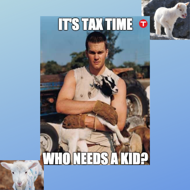 wnccpa's tweet photo. A little #aprilfoolsday humor to lighten up your Monday. #taxseason #taxcredits https://t.co/YAHYDzm8n3