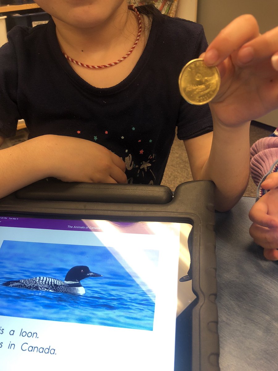 mschelseaallen's tweet photo. “MS. ALLEN!!! Is that why they call the 1$ a loonie?” #EALGroups #CanadianAnimals https://t.co/U9CfqUjmAX