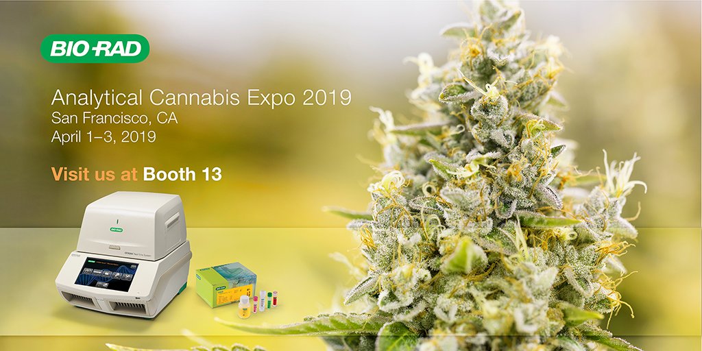 Meet us at booth 13 at the #AnalyticalCannabisExpo 2019 (April 1-3, San Francisco) to discuss your needs for #microbial testing of #Cannabis. ow.ly/4yvq30ohm3a
.
.
.
.
#cannabistesting #RTPCR #ChromogenicMedia #CannabisSafety #FoodSafety #STEC #Salmonella #BioRad