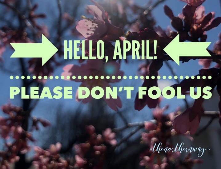 MajorRichGibson's tweet photo. Let’s make April better than the last three months. Help us out by saying something when you see something. Prevention is key but communication between our communities and the #BaltimorePoliceDepartment is paramount! Let’s do this! 👁🗨🚸🚯
#theNorthernWay #BmoreSafe https://t.co/mzXsHF9Irq
