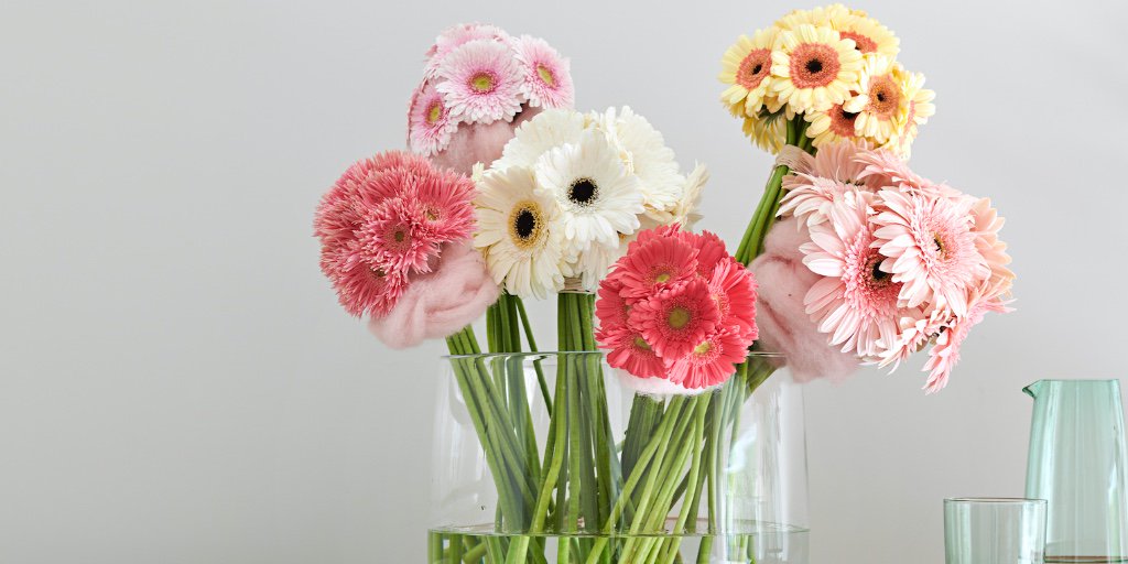 #startyourdayright //  „April, April, der macht was er will“ – und wir ebenfalls. 😜 Deshalb gönnen wir uns eine ganz besondere Gute-Laune-Blume des Monats: die Gerbera. 🌺🌸 Wir stellen dir die Gerbera gerne näher vor. 
ow.ly/toGd50oJO0Y