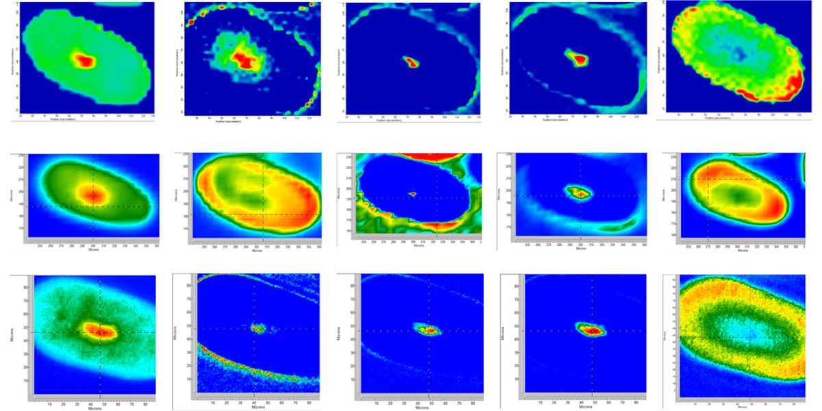 impjsi's tweet photo. New JSI Paper: Performance comparison of aperture-less and #confocal #infrared microscopes. https://t.co/1dIfwzpdws #imaging @synchroSOLEIL @IASorsay @u_psud @borondics https://t.co/pjao0GHvx4