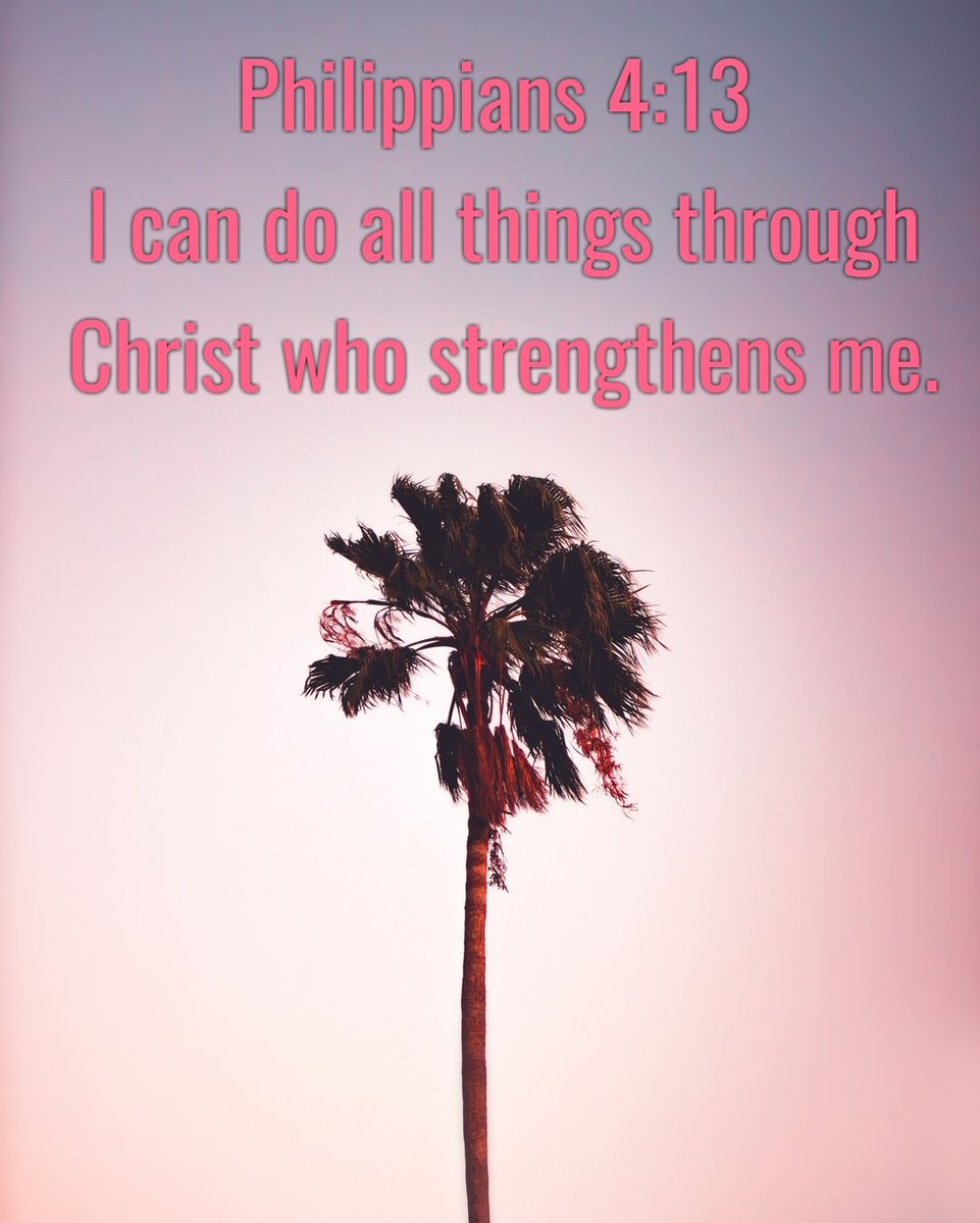 CbuSpp's tweet photo. Good luck & safe travels this week to our SPP student @j0rdanArrington and her @CBUCheer team as well as @CBUDance in Daytona! We are rooting for you all! #hardworkpaysoff #daytona #cbuspp #cbucheer #cbudance #lanceup #NoRegrets #championmindset #enjoythemoment #feelinggood https://t.co/jCafEVuf6F