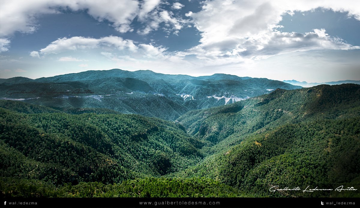 wal_ledezma's tweet photo. - Flying -
Sierra Madre Occidental
Durango, México.

https://t.co/XqOOSMOcnl https://t.co/oRR6llCVBc