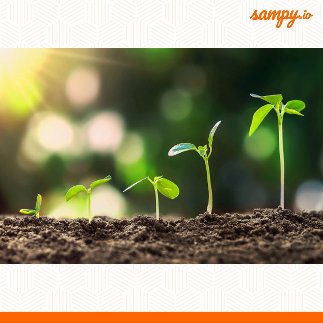 Sampy is growing. We are thankful for your support in our journey of growth. 🌷