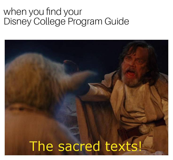 DCPStory's tweet photo. #disneycollegeprogram #dcpfall2018 #dcpspring2018 #dcpmemes https://t.co/QQPsqlTqn3