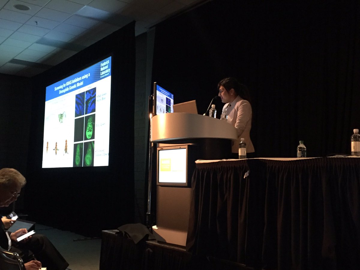 domespo's tweet photo. #FredNatLab scientist Kanika Sharma explains how crinkled fly wings relate to RAS-driven cancers at the RAS Initiative session at #AACR2019 https://t.co/jH3wo2TEHv