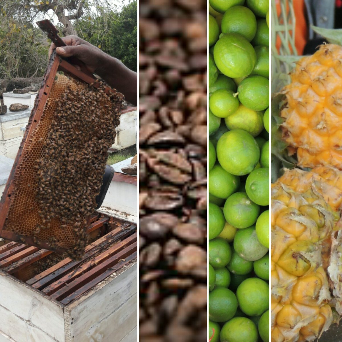 RodriguesFrien1's tweet photo. Du tour d'horizon du #terroir à la mise en bouche. Un #circuit en bouquet de saveurs tout en #dégustation.
ROUTE DU TERROIR, la nouvelle #excursion proposée par #RodriguesFriendly est désormais disponible.
Détails sur https://t.co/Kf77bdPm0Z
#Rodrigues #routeduterroir https://t.co/l5JZir9lbR