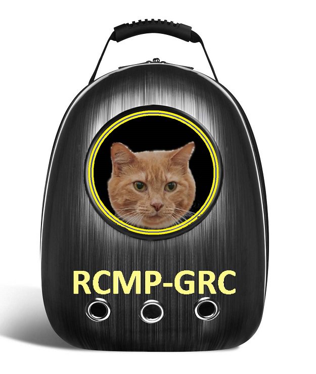 BCRCMP's tweet photo. BC RCMP announce new Police Cat Services
Frontline officers throughout the Province who have been volunteered for the pilot project will be assigned their police cats over the next few months. Read more:
https://t.co/okaPF5YVJ7 https://t.co/290ERag4Pa