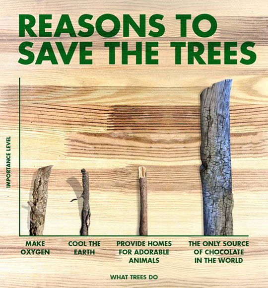 JohnMuirProject's tweet photo. You probably know that logging forests exacerbates climate change, but #DYK logging of forests within the United States outpaces logging in any other county in the world? #ForestProtection for #ClimateMitigation must start at home! #Stand4Forests #SaveTheRimFire https://t.co/UzT9dPmUPV