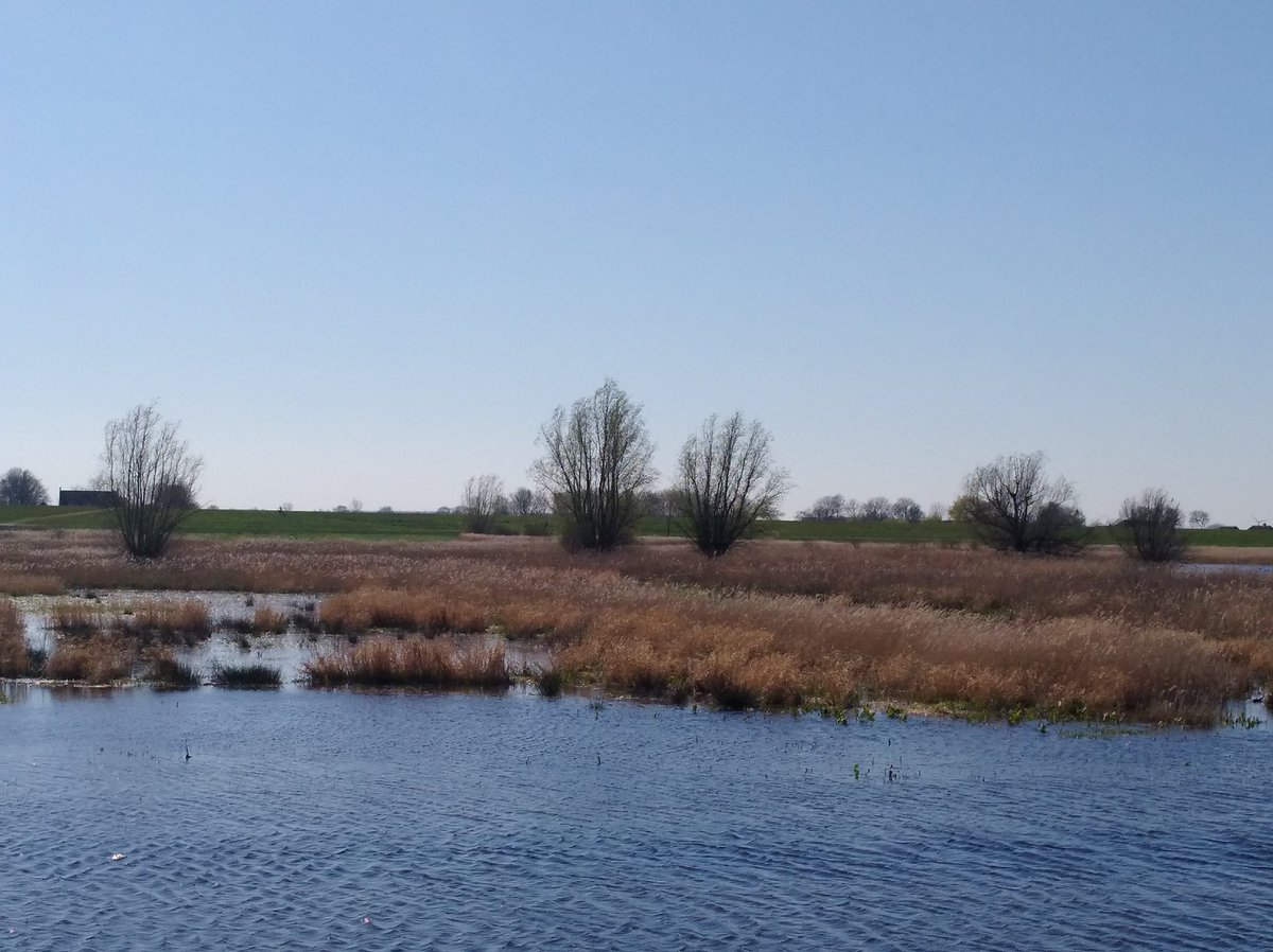 hetkampenvan's tweet photo. #Reevediep #nieuwdorpsfront @Wilsuminfo door #Inlaat , #deEnk #nieuwevaarroute #Natischkampen #Natura2000 @staatsbosbeheer @StadseilandK #visitkampen (4/4) https://t.co/ZXWKccmpnV