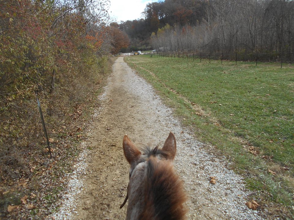 KrausInc's tweet photo. Trail Rides!  Book a trail ride at Kraus Farms!  #trails #Horses https://t.co/Fj0NaC2ZUW