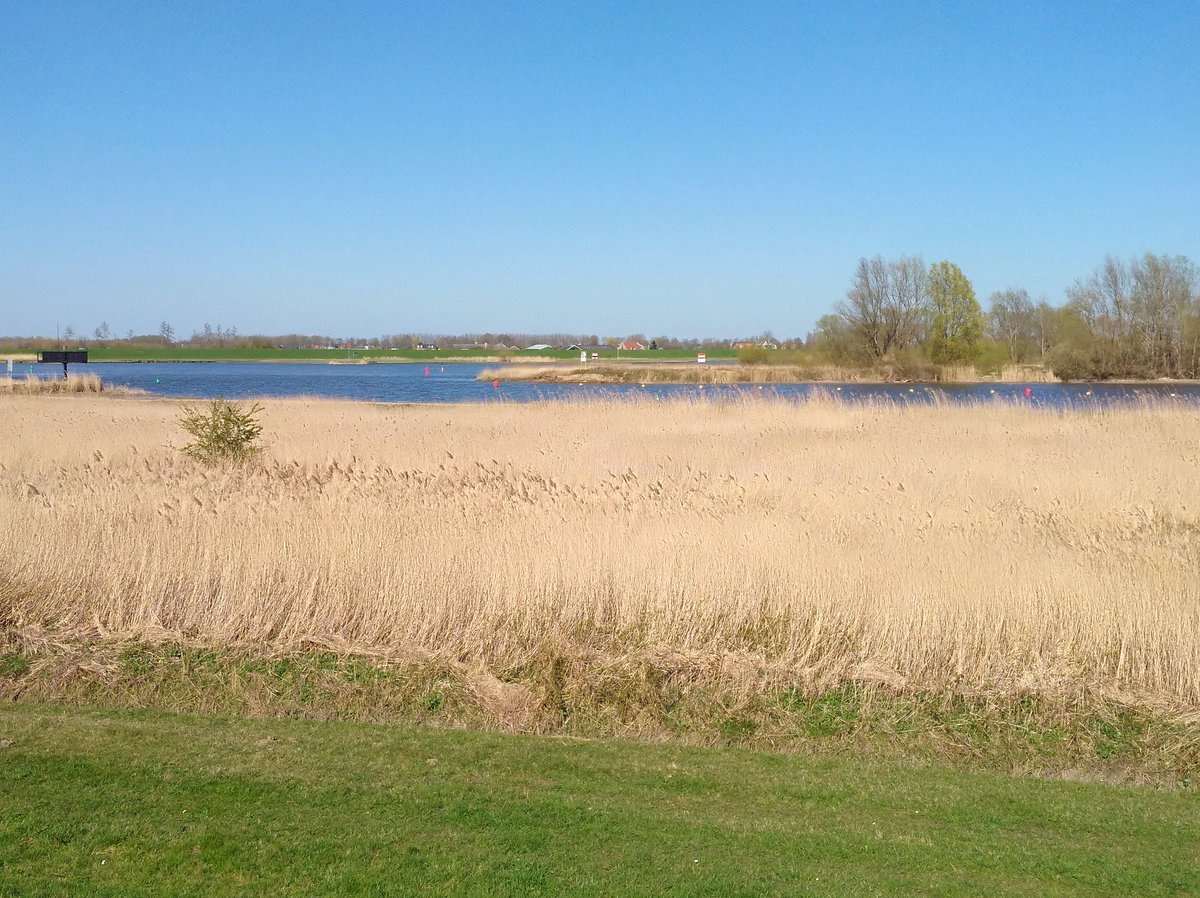 hetkampenvan's tweet photo. #Reevediep #nieuwdorpsfront @Wilsuminfo door #Inlaat , #deEnk #nieuwevaarroute #Natischkampen #Natura2000 @staatsbosbeheer @StadseilandK #visitkampen (4/4) https://t.co/ZXWKccmpnV