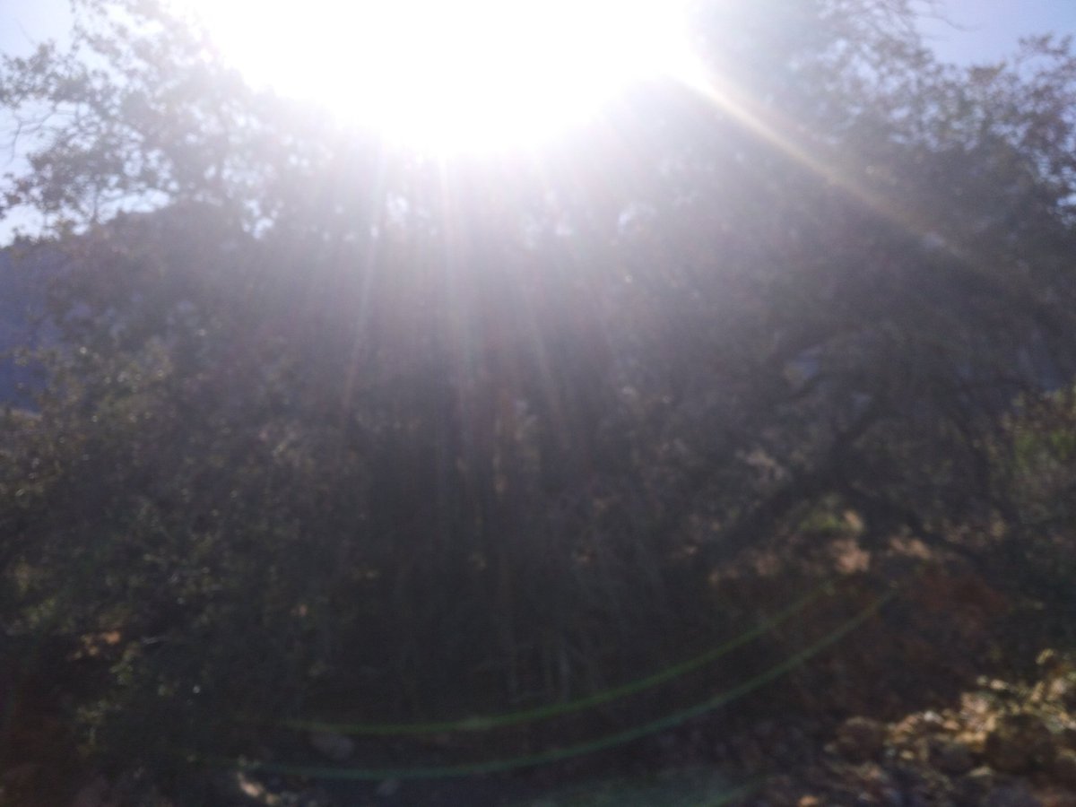 AlienAngel99's tweet image. 