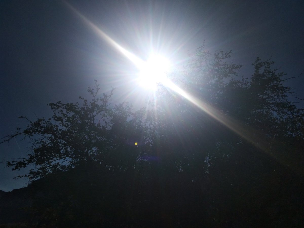 AlienAngel99's tweet image. 