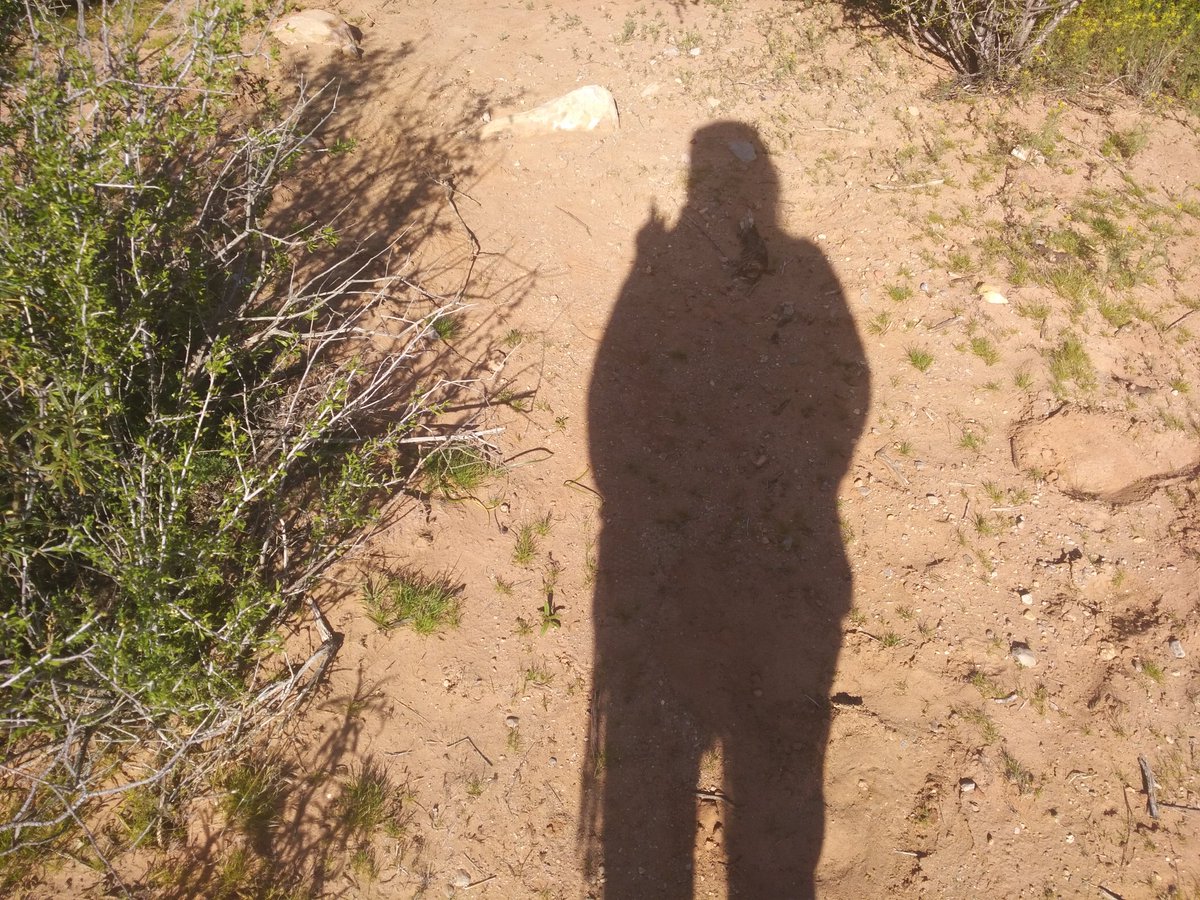 AlienAngel99's tweet image. 