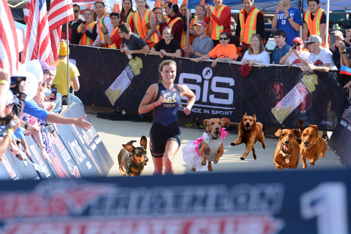 usatriathlon tweet picture