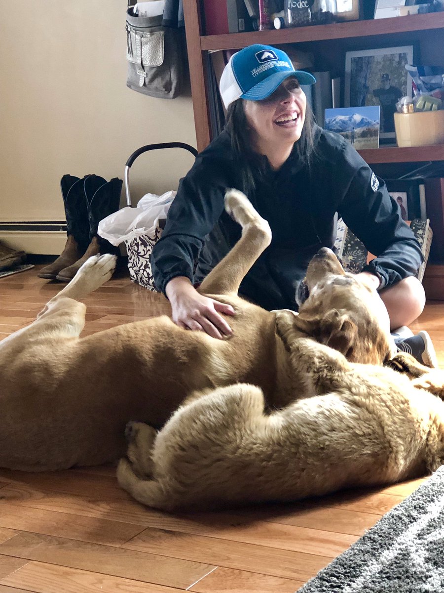 _haileypeterson's tweet image. What a weekend. 💍🏔 huge thank you to everyone who made our day so special! 💛 feeling very very blessed. ✨✨