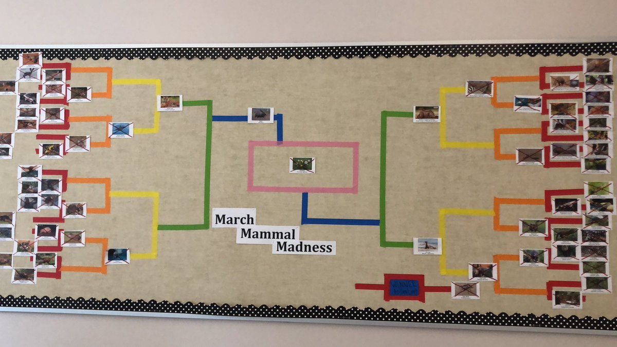 bdhs_mspool's tweet photo. Is this too cruel for April Fool’s? #teamdandelion #2019MMM https://t.co/yrfg91qCj4