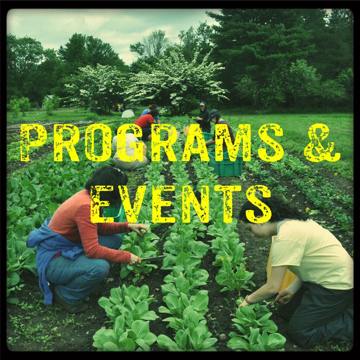 All of our programs are back, Jews + Land, Shtetl Skills, AND Philly Farm Crew - will you join us?

buff.ly/2CIVgZK