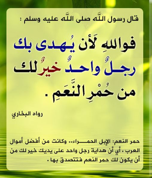 لا إله إلا الله (@zmankf) on Twitter photo 