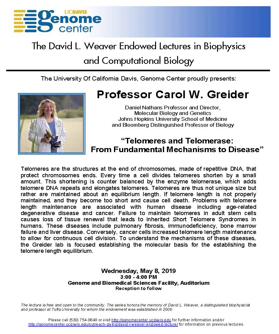 DavisCores's tweet photo. @genomecenter presents Professor Carol W. Greider for "Telomeres and Telomerase: From Fundamental Mechaisms to Disease"
Wednesday May 8, 3 - 4pm
Genome and Biomedical Sciences Facility, Auditorium https://t.co/54PrVlhgb7