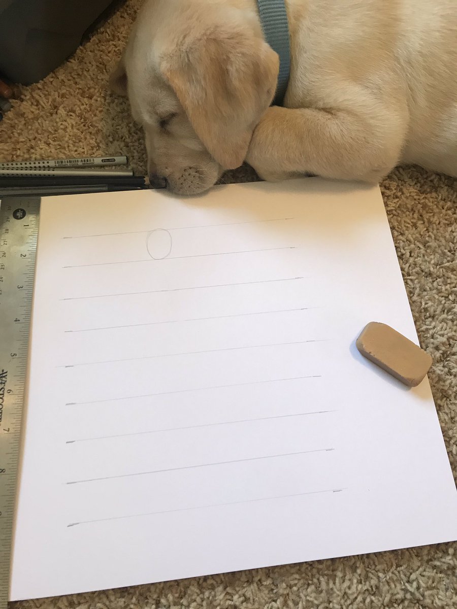 KatAtTownley's tweet photo. Trying to practice my full body proportions for late #PubDraw homework and I keep getting distracted for some reason...  #Puppy https://t.co/ay36fbKt1i