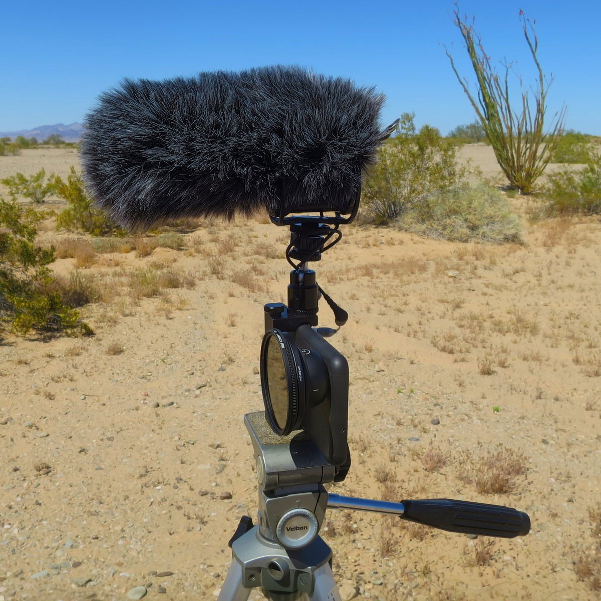 bexcatherder's tweet photo. This was the setup I used this weekend to shoot my April Fool's video. It's a Pixel 2XL with a @moment wide 18mm lens and a variable ND filter. I'm using a Rode VideoMic Pro attached with an extender to keep the fuzzy out of the picture. #mojo #androidvideography #filmmaking https://t.co/M1ZVTIRxRk