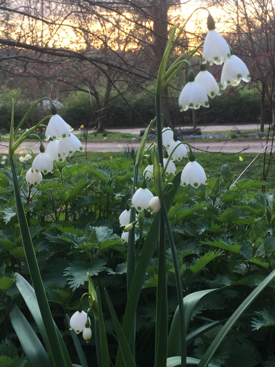 New post (Surrey Market Towns- tempting attractions- Godalming) has been published on Pavilion Relocation - pavilionrelocation.co.uk/surrey-market-…