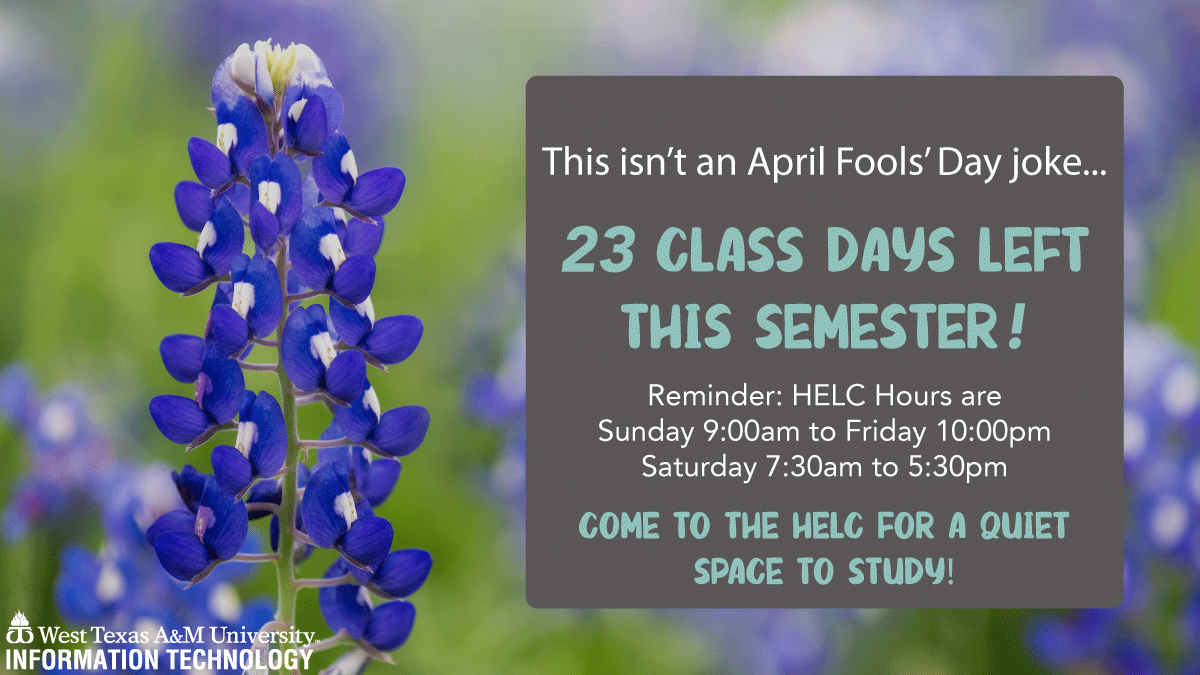 wtamuinfotech's tweet image. This is not a joke...There's only 23 Class Days left this semester! Finish strong Buffs!