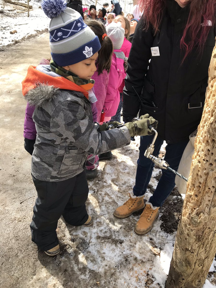 MsBucknamsClass's tweet photo. We had the best day learning about and trying maple syrup! https://t.co/EYYExFt3qy
