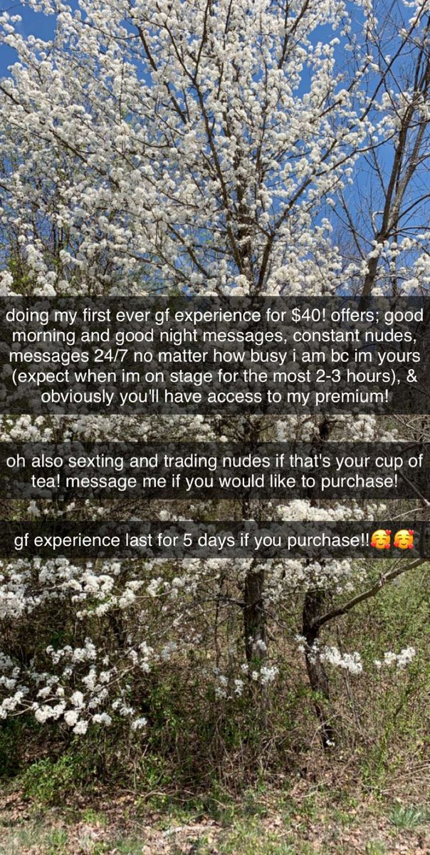 nellynadira's tweet photo. PART OF MY BIRTHDAY SALE FOR THIS MONTH! dm if interested (plus i need money for groceries lol)#me #mine #gfexperience #rtthisshit #rt #paypig https://t.co/NRA8dhiSxS