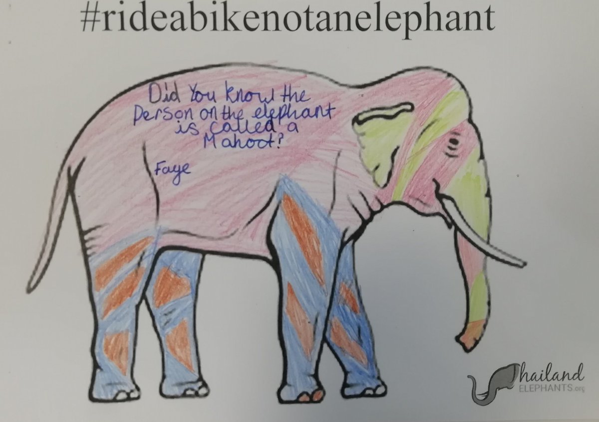 MrsEmeryPE's tweet image. Amazing elephant facts from Catterick class 🐘
#rideabikenotanelephant