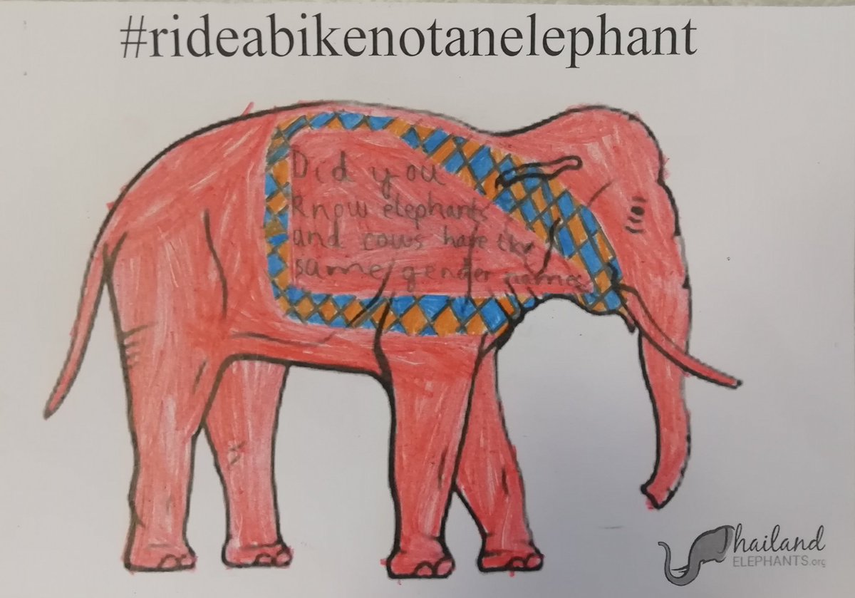 MrsEmeryPE's tweet image. More amazing elephant facts from Catterick class 🐘
#rideabikenotanelephant