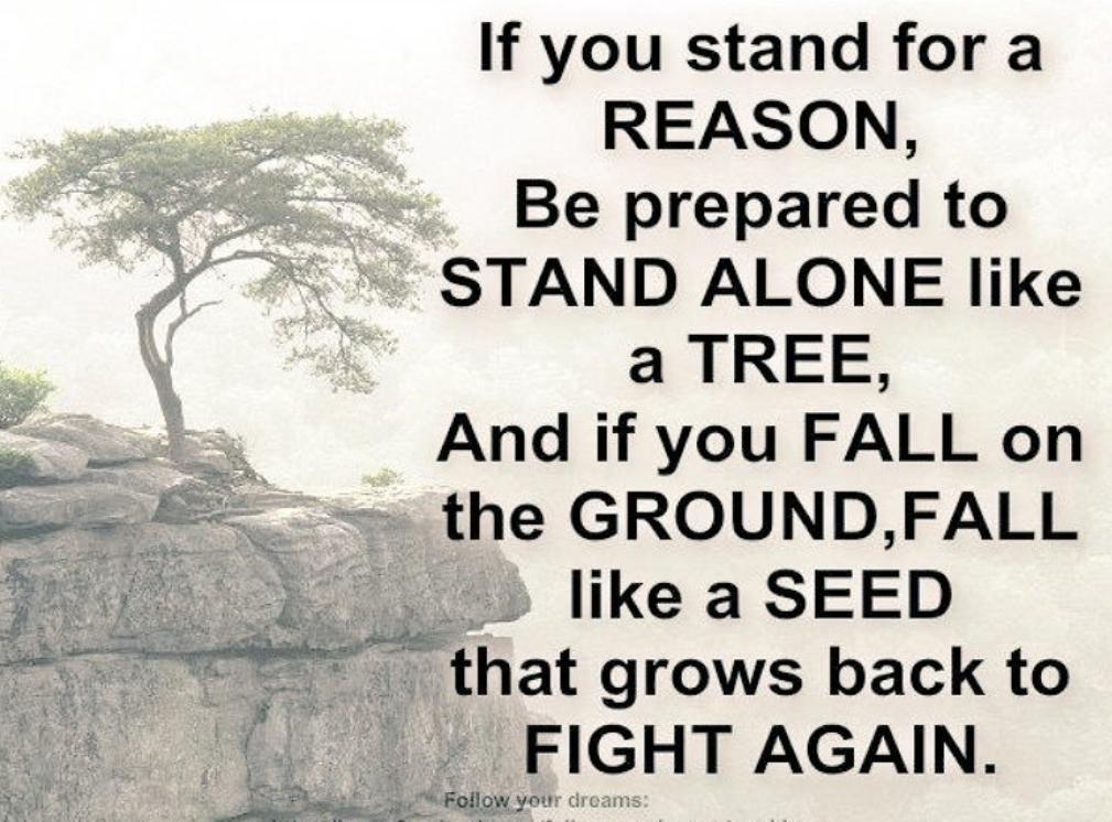 Like a Tree, Like a Seed