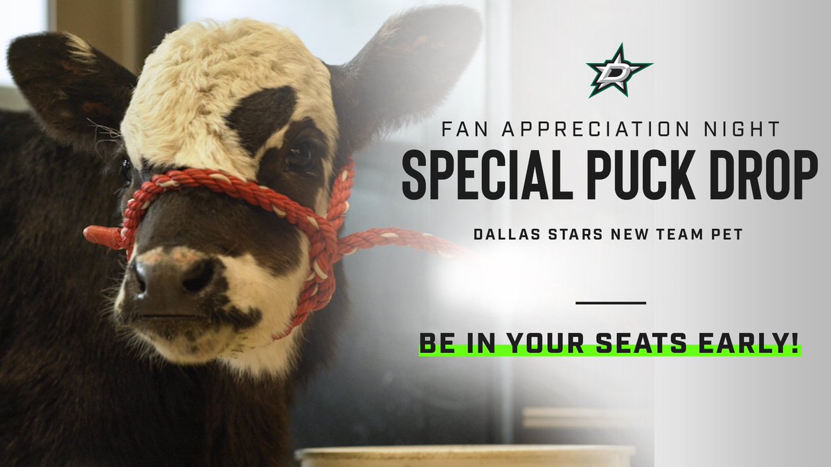 For Fan Appreciation Night this Saturday vs. the Wild, our team cow will be dropping the puck (and hopefully nothing else 💩)

Make sure to arrive early for a 7:00 PM start! #GoStars