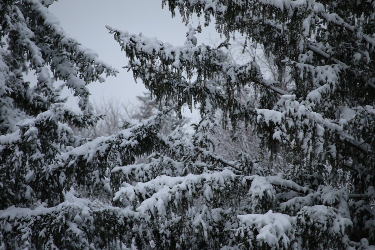 Waterloo just a day ago. #Waterloo #SnowInWaterloo #WaterlooRegion #WaterlooCanada #Canada #Snow
March 31, 2019 © photo by Elysse Poetis @ElyssePoetis #ElysssePoetis #ElyssePoetis #ElyssePoetisPhotos