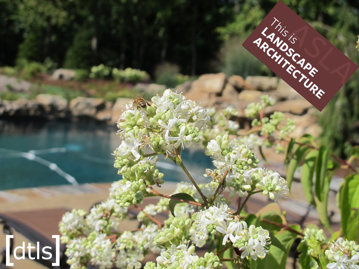 Over the past year, the #studio has been some #busybees.  We can't wait to showcase a sample of our #design work in celebration of #WLAM2019.  Follow us throughout the month as we showcase some of our favorite projects! #ThisIsLandArch