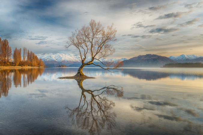 HassCho's tweet photo. WANAKA, NEW ZEALAND. https://t.co/IGqg0UAxVt