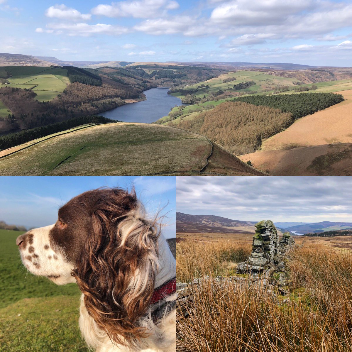 Digginginheels's tweet photo. Back home after a few days walking in the beautiful Peak District...

#Derbyshire #peakdistrict https://t.co/cusCvJB4Cf