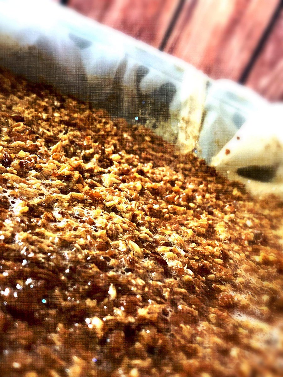 BrewingProctor's tweet photo. When you're beer looks like a dessert be for its even done
.
.
.
.
#proctorbrewing #proctor #brewing #brewnation #homebrew #homebrewing #brewcrew #beersofinstagram #beer #beernation #brewporn #hoppybrewer #brewNW #pdx #northwestnative #fermenting #ferment #beerfamous #dessert https://t.co/9BMteHNB4l