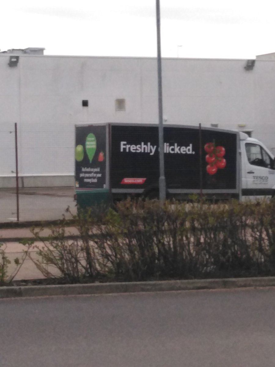 girl steve tweet media