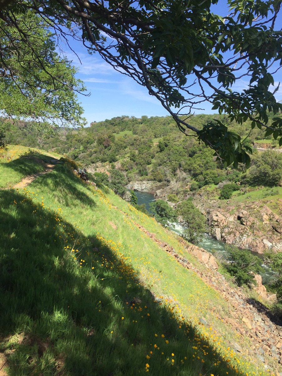 tisha_f's tweet photo. Living in Sacramento isnโt too bad. My weekend. Both views a tad over a 1.5hrs away. #KnightsFerry #PointBonita #daytrips https://t.co/A09CIkN6Wp