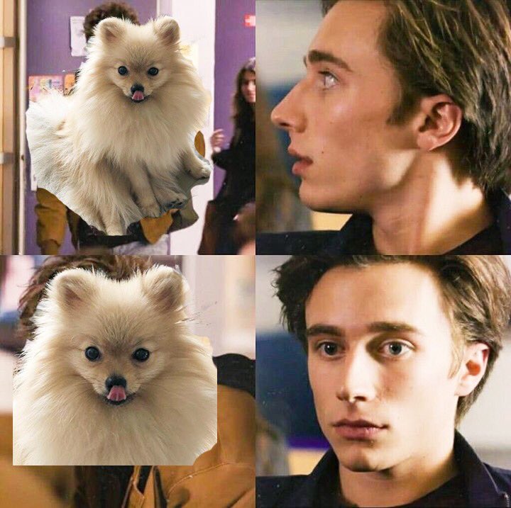 Renewskamfrance tweet media