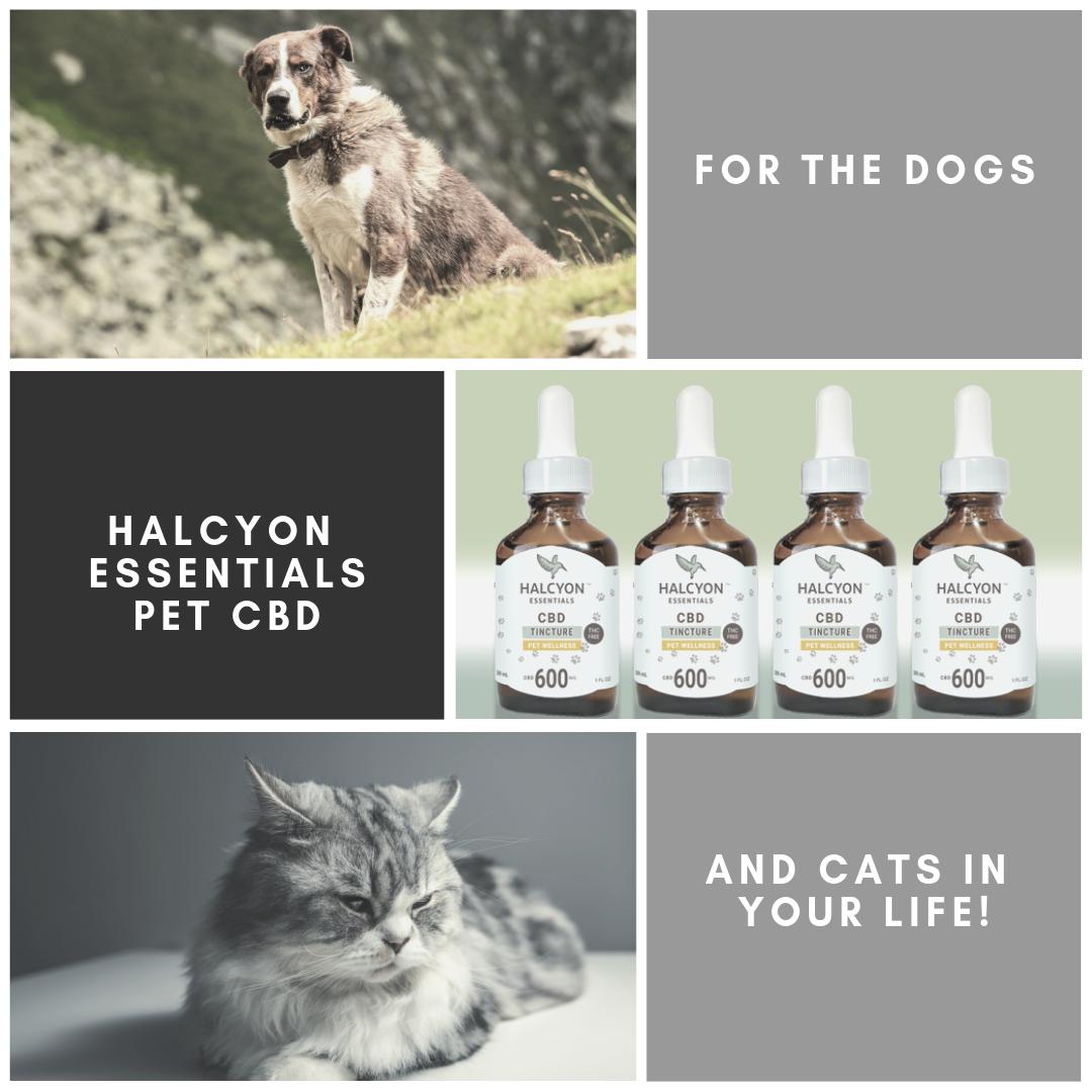 Shop our store now! ow.ly/iX4A30ohui9
.
.
.
#CBD #Athlete #atl #spa #beauty #wellness #holistic #healthandwellness #cbdoil #cbdlife #cbdhelps #healthylifestyle #naturalmedicine #naturalfood #lotion #cbdvape #tincture #Anxiety #anxietyrelief